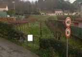 Non-developable land for sale in Pontevedra ref: TR252054 photo