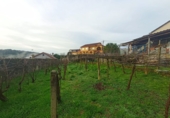 Non-developable land for sale in Pontevedra ref: TR252054 photo