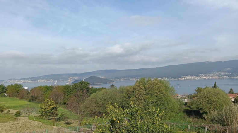 Pontevedra - Pontevedra - 3938m2