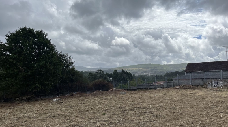 Pontevedra - Pontevedra - 5000m2