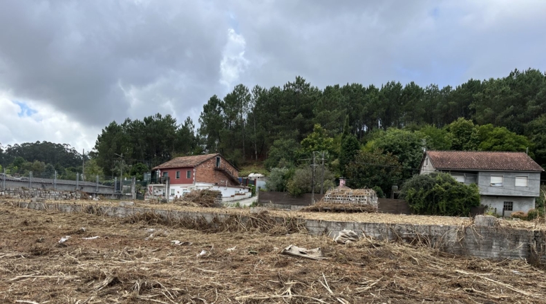 Pontevedra - Pontevedra - 5000m2