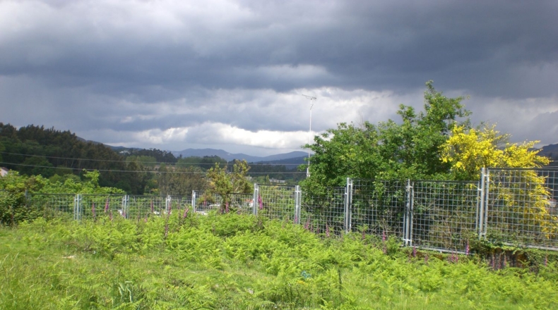 Pontevedra - Pontevedra - 5000m2