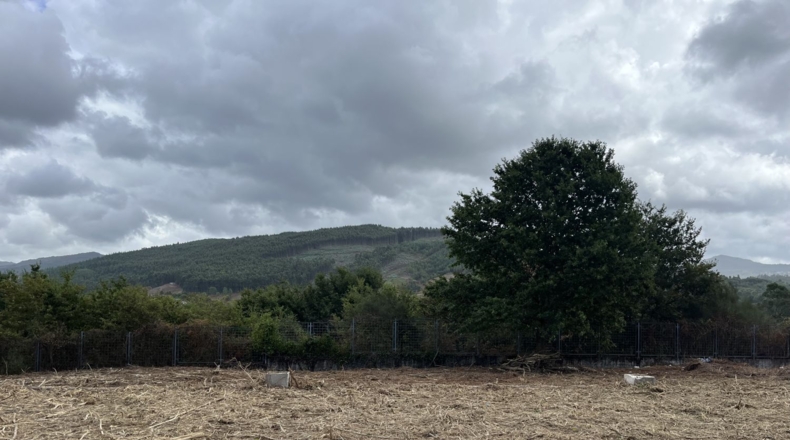 Pontevedra - Pontevedra - 5000m2