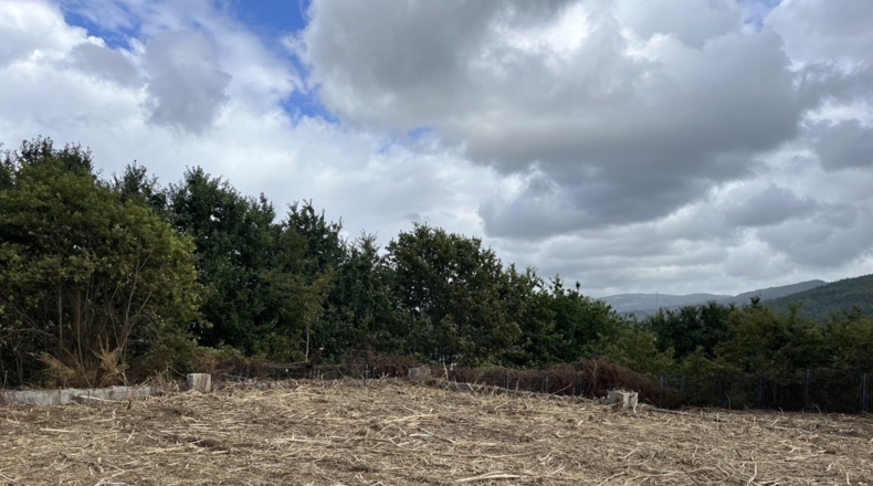 Pontevedra - Pontevedra - 5000m2