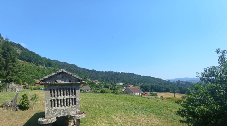 Pontevedra - Pontevedra - 332m2