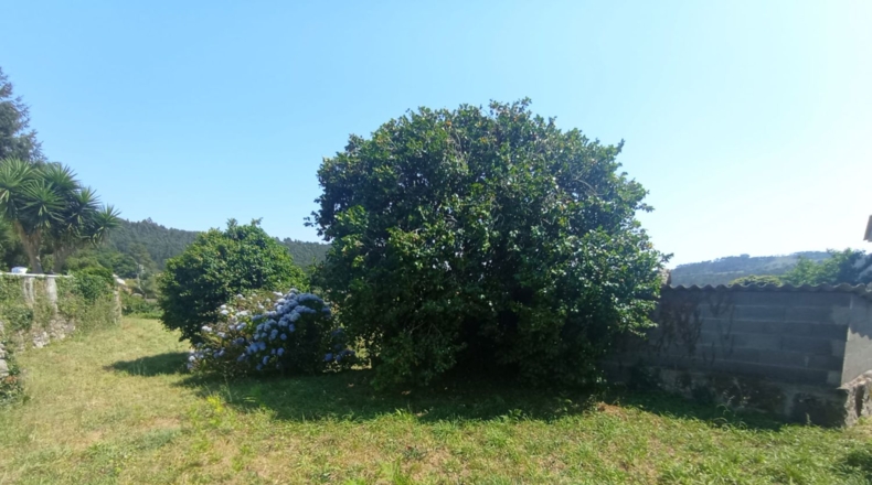 Pontevedra - Pontevedra - 332m2