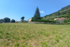 Foto 20