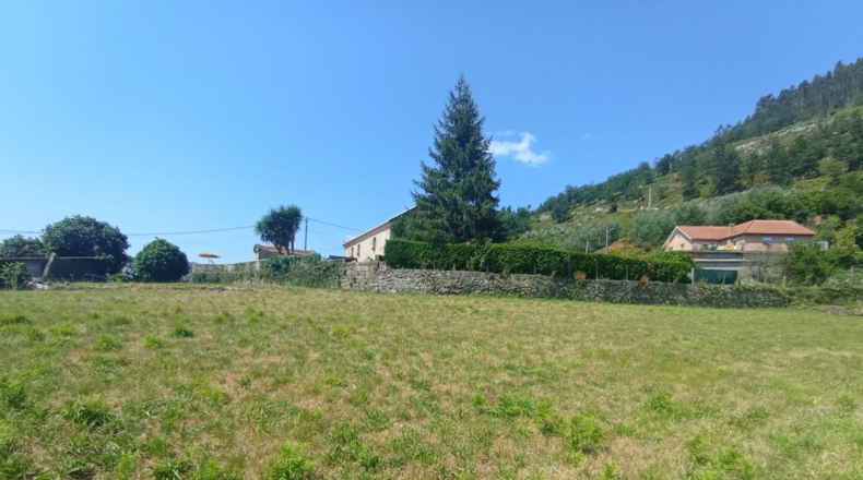 Pontevedra - Pontevedra - 332m2