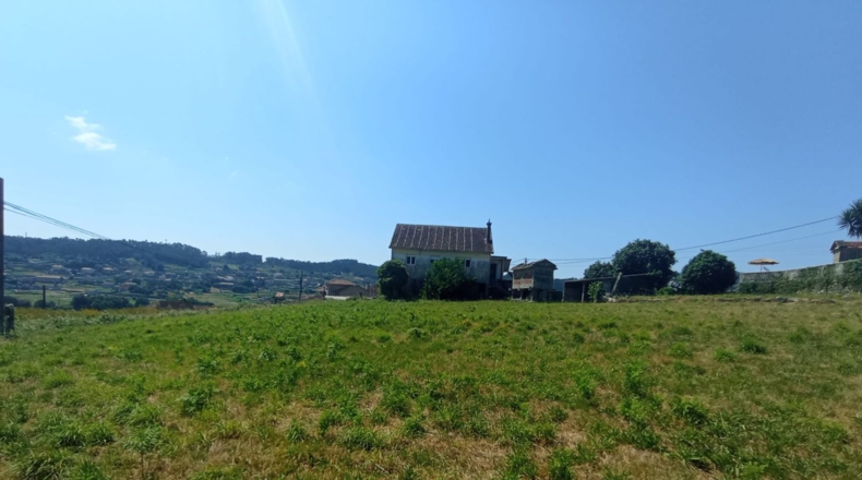 Pontevedra - Pontevedra - 332m2