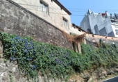Urban land for sale in Poio de Arriba ref: TR351201 photo