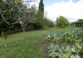 Non-developable land for sale in Cerdedo ref: TR344732 photo