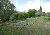 Non-developable land for sale in Cerdedo ref: TR344732 photo