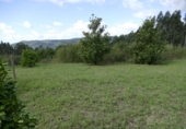 Non-developable land for sale in Cerdedo ref: TR344732 photo