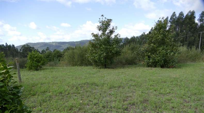 Pontevedra - Понтеведра - 1810m2