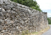 Non-developable land for sale in Cerdedo ref: TR344826 photo