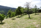 Non-developable land for sale in Cerdedo ref: TR344826 photo