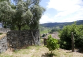 Non-developable land for sale in Cerdedo ref: TR344826 photo