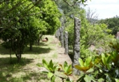 Non-developable land for sale in Cerdedo ref: TR344826 photo