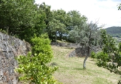 Non-developable land for sale in Cerdedo ref: TR344826 photo