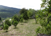 Non-developable land for sale in Cerdedo ref: TR344826 photo