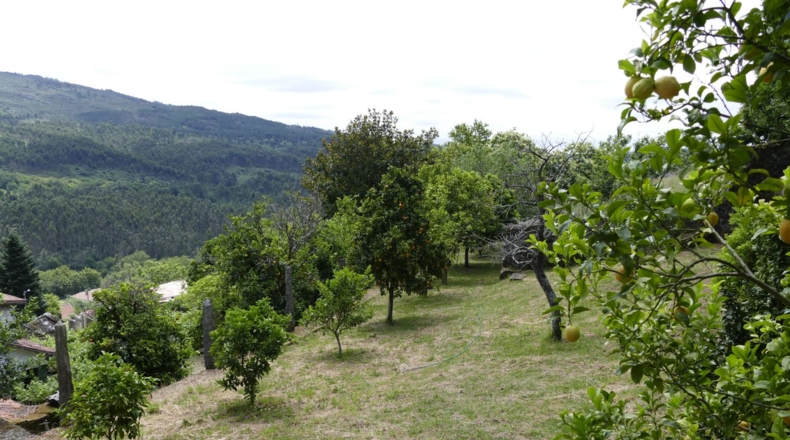 Pontevedra - Понтеведра - 2580m2