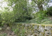 Non-developable land for sale in Cerdedo ref: TR344826 photo