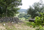 Non-developable land for sale in Cerdedo ref: TR344826 photo