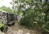 Non-developable land for sale in Cerdedo ref: TR344826 photo