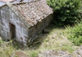 Non-developable land for sale in Cerdedo ref: TR344826 photo