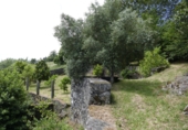Non-developable land for sale in Cerdedo ref: TR344826 photo