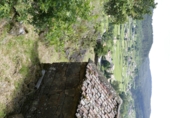 Non-developable land for sale in Cerdedo ref: TR344826 photo