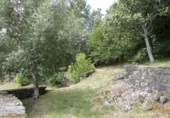 Non-developable land for sale in Cerdedo ref: TR344826 photo