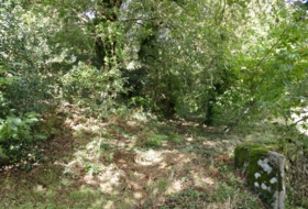 Foto 14