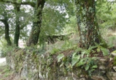 Non-developable land for sale in Cerdedo ref: TR344908 photo