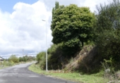Non-developable land for sale in Cerdedo ref: TR344908 photo