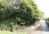 Non-developable land for sale in Cerdedo ref: TR344908 photo