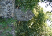 Non-developable land for sale in Cerdedo ref: TR344908 photo