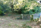 Non-developable land for sale in Cerdedo ref: TR344908 photo