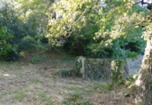 Non-developable land for sale in Cerdedo ref: TR344908 photo