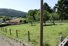 Cerdedo 1350&nbsp;m²