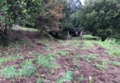 Загородный дом с участком на продажу в городе Barro. Фото