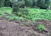 Загородный дом с участком на продажу в городе Barro. Фото