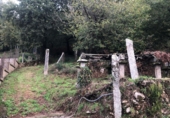Non-developable land for sale in Barro ref: TR347094 photo