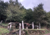 Non-developable land for sale in Barro ref: TR347094 photo
