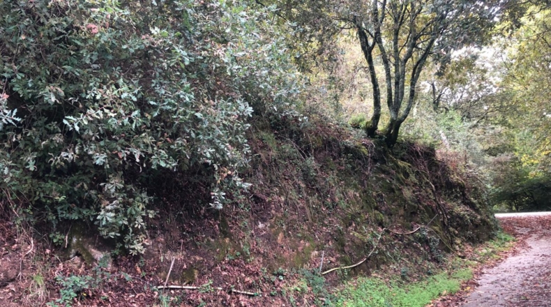 Pontevedra - Barro - 707m2