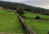 Non-developable land for sale in Cerdedo ref: TR354867 photo