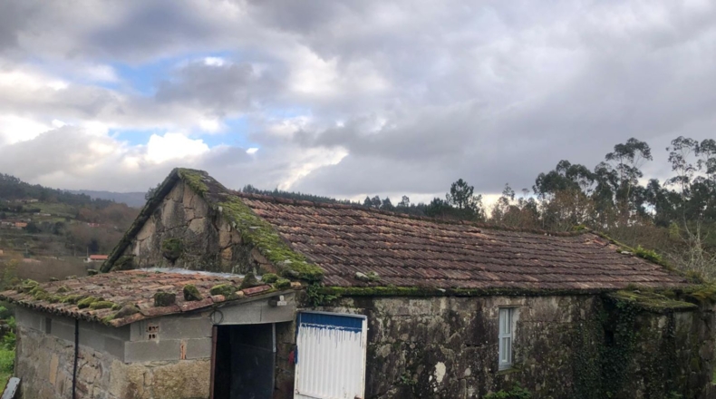 Pontevedra - Pontevedra - 8000m2