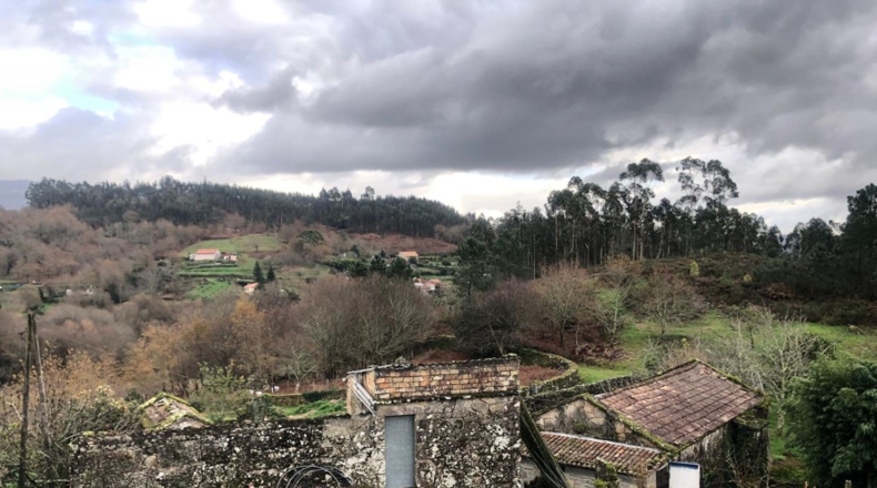 Pontevedra - Pontevedra - 8000m2