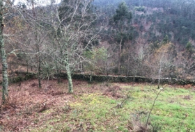 Cotobade 8000&nbsp;m²