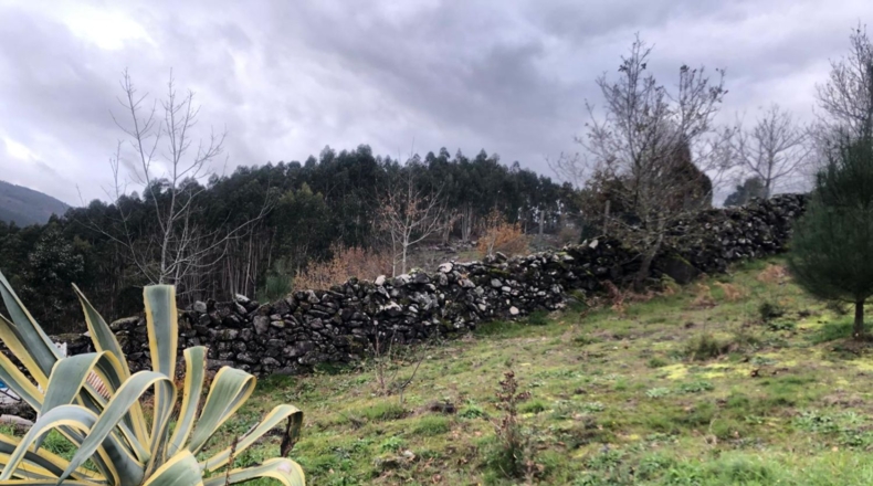 Pontevedra - Pontevedra - 8000m2